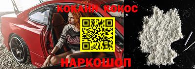 гашик Кингисепп