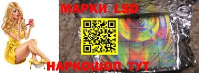 гашик Кингисепп