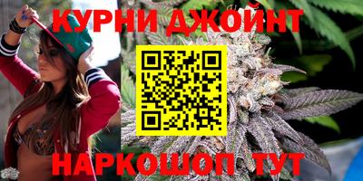гашик Кингисепп