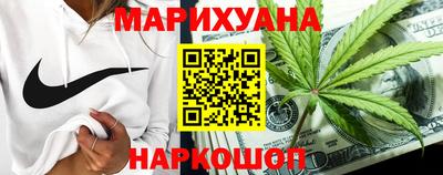 гашик Кингисепп