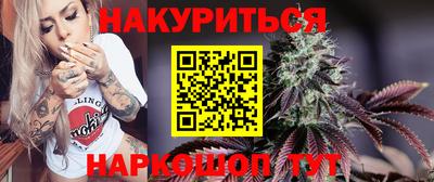 гашик Кингисепп