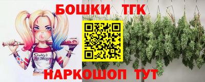 гашик Кингисепп