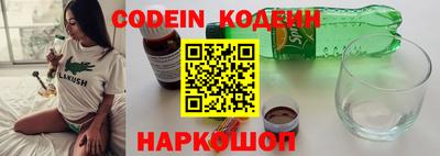 гашик Кингисепп